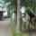 Pilegrimsvandring hest, etappe 25: Konstadtunet, Skaun - Kleivan, Buvika